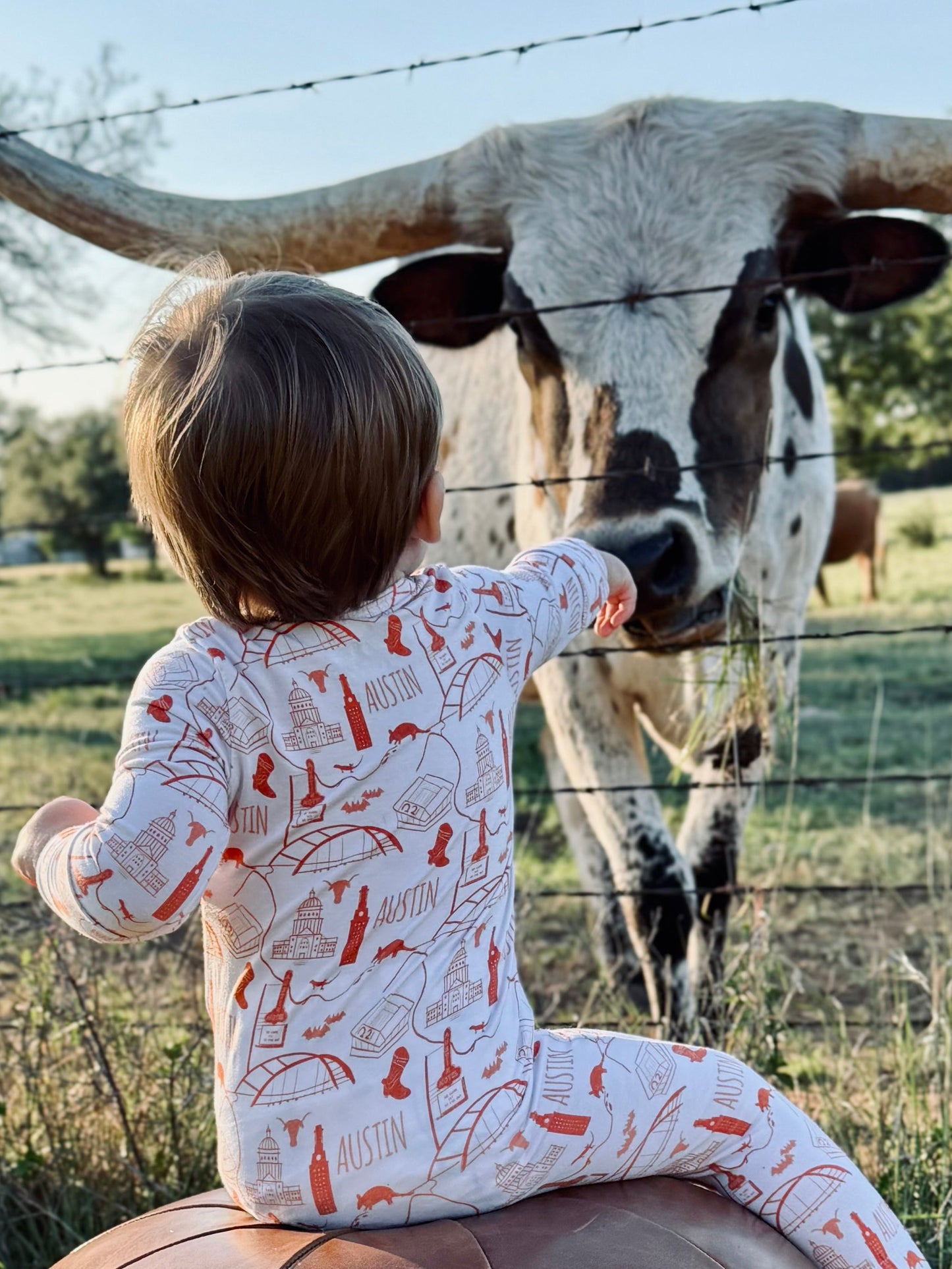 Dreaming of Austin